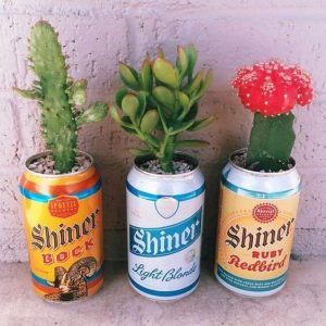 cactus-vetplant-creatieve-bloembakken