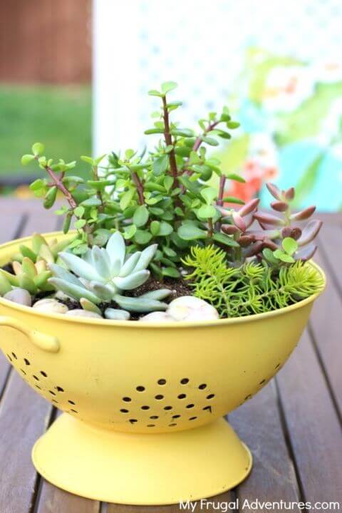 colander-planter-bloembak-vergiet