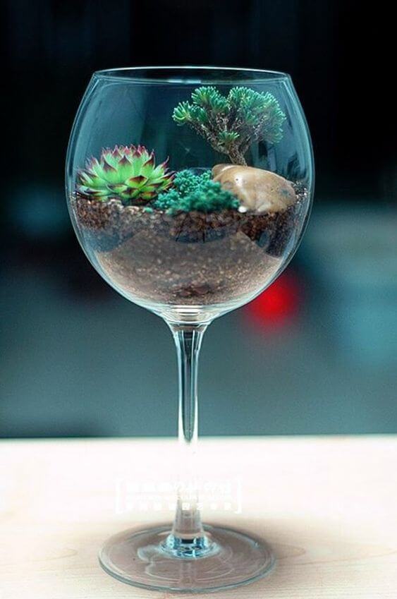 glass-indoor-garden-succulents-cacti