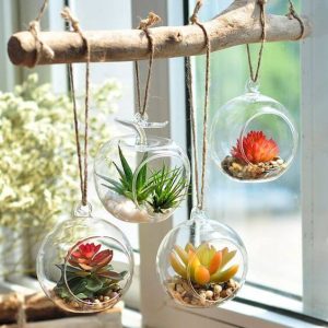 glass-succulent-holders-glazen-bollen