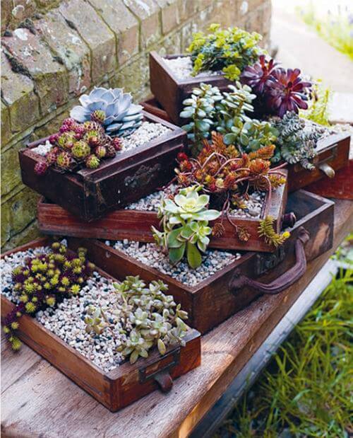 plants-drawers-planten-lades