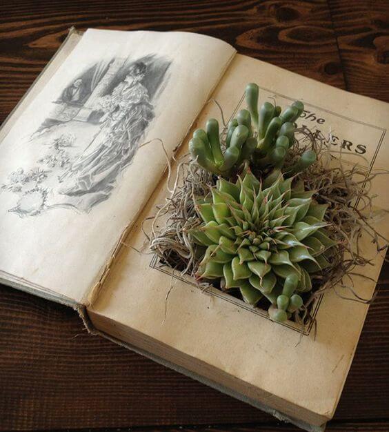 succulents-upcycling-books-vetplanten-boeken