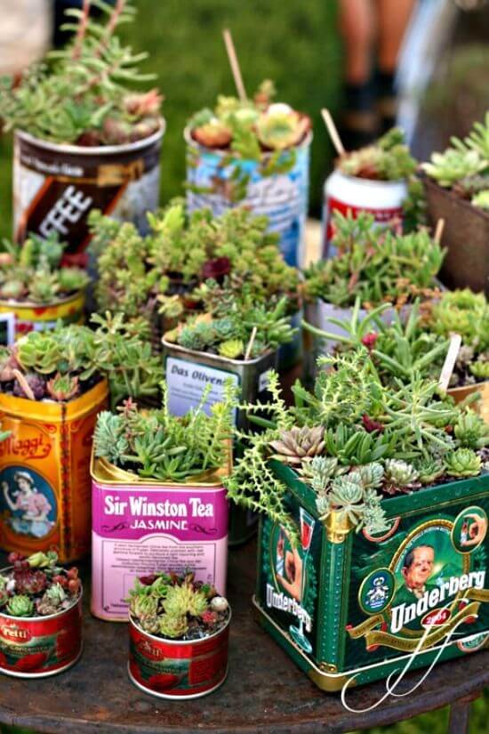 20x ideetjes voor vetplanten, cactus en succulents (recycle en upcycle)