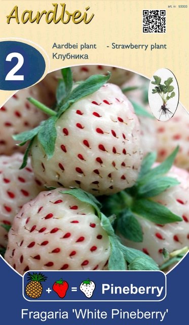 pineberry