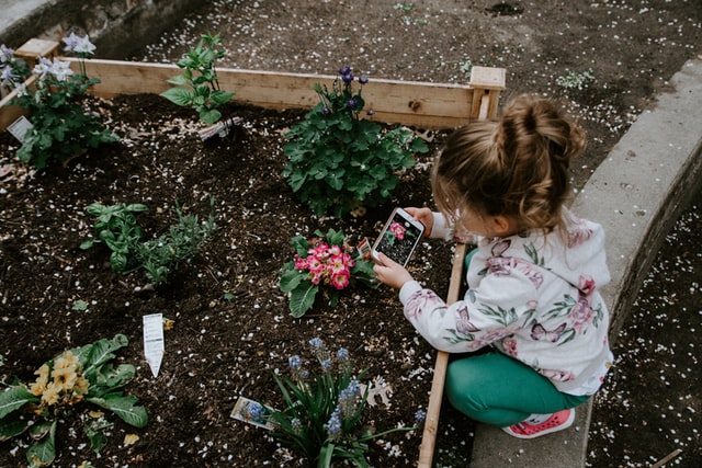 Hoe maak je je tuin kidsproof? 