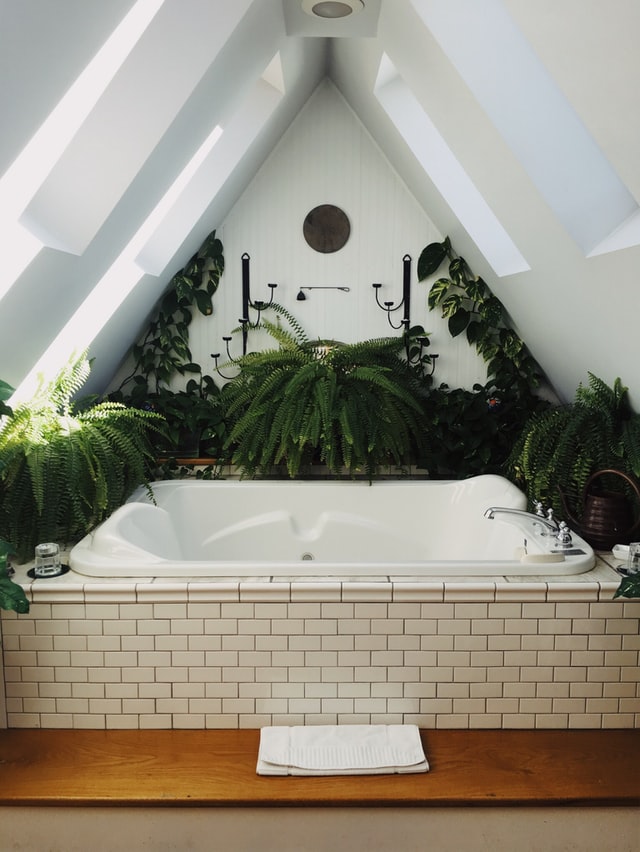 planten-in-de-badkamer
