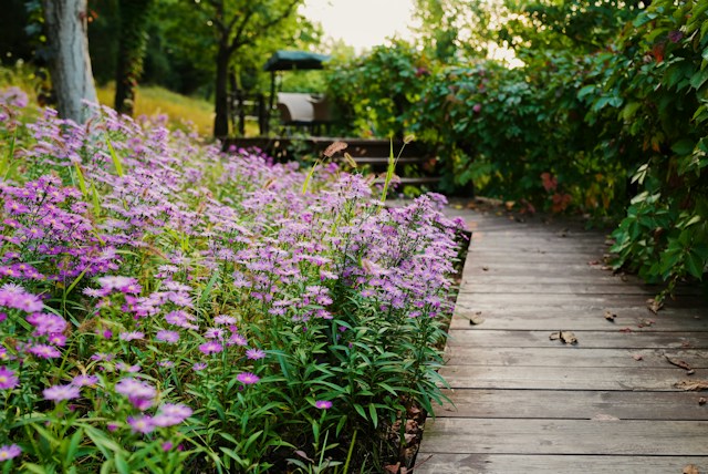 Deze planten en bloemen wil ik dolgraag in onze tuin